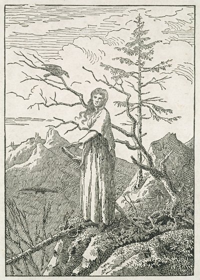Woman with a Raven, on the Edge of a Precipice by Caspar David Friedrich
